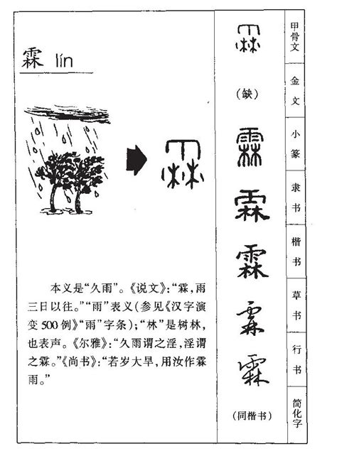 霖名字意思|霖字的含义和寓意